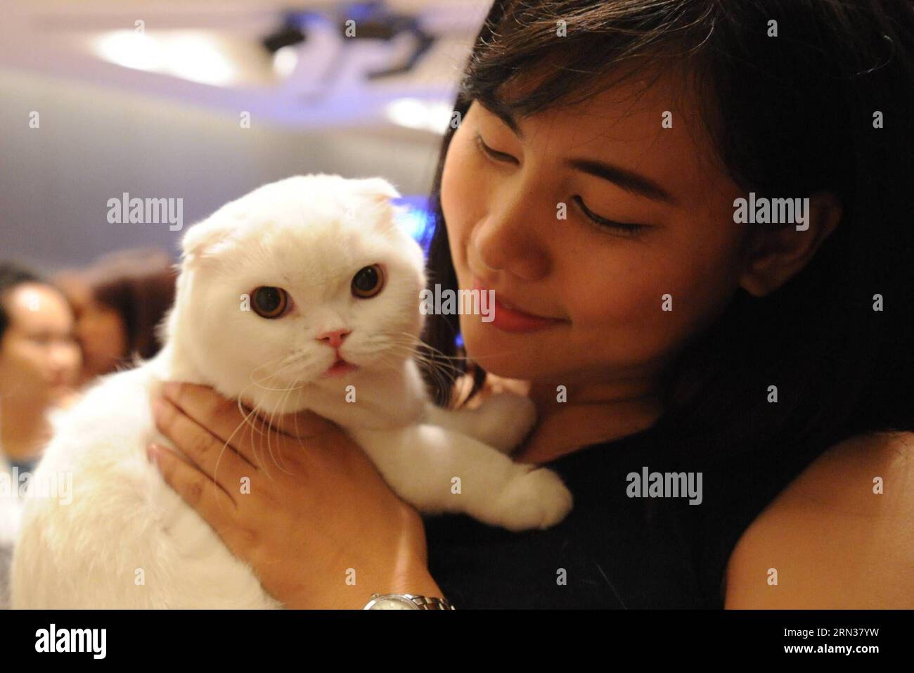 Wcf cat hires stock photography and images Alamy