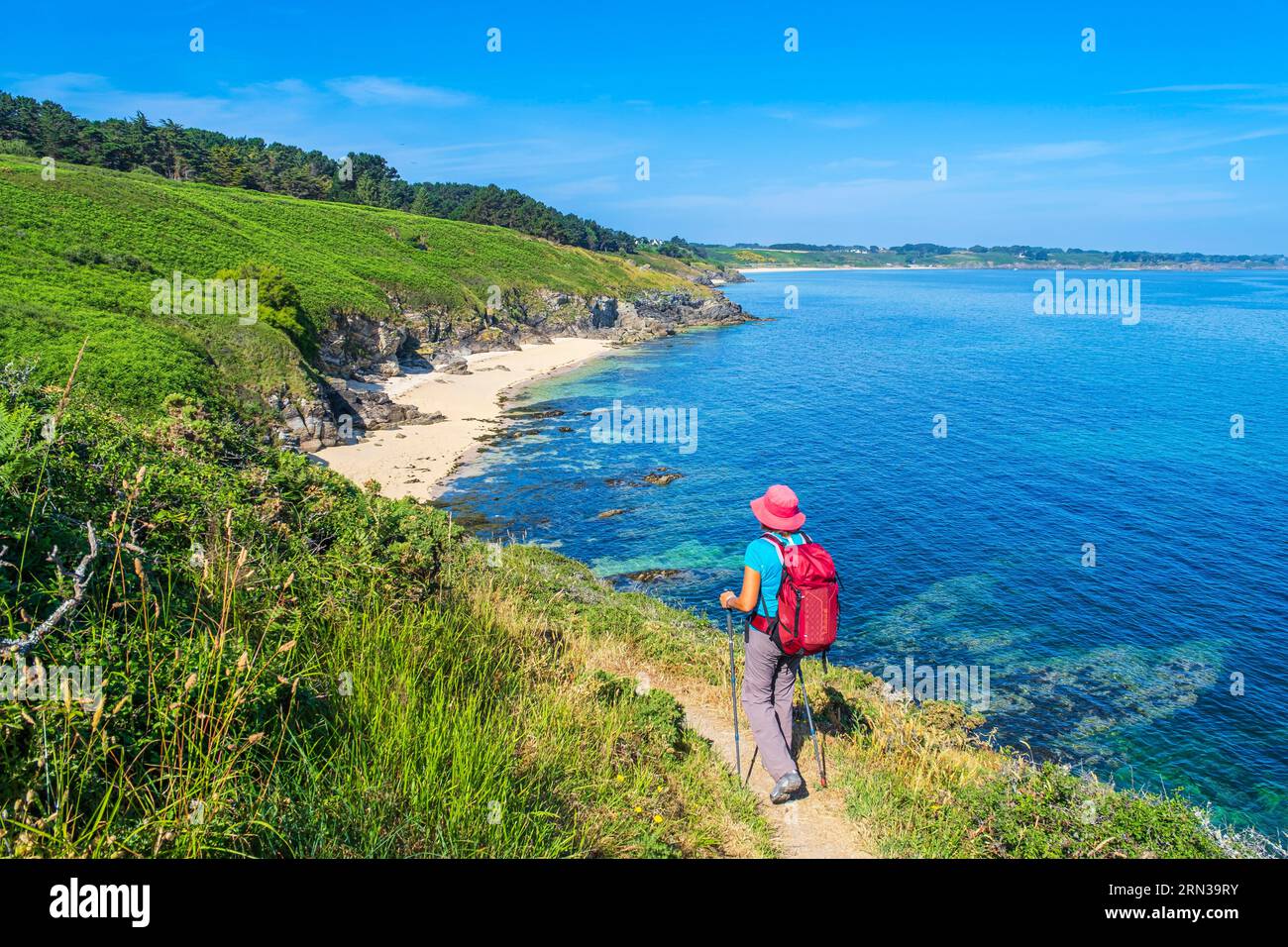 France, Morbihan, Belle Ile en Mer, Locmaria, hiking on the GR® 340 ...