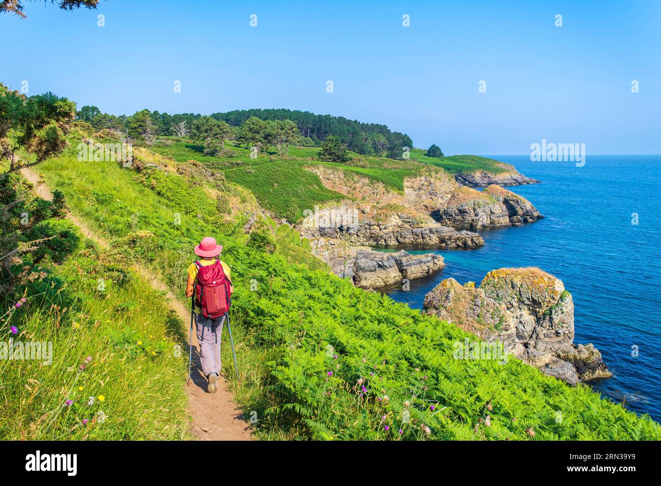 France, Morbihan, Belle Ile en Mer, Sauzon, hiking on the GR® 340Tour