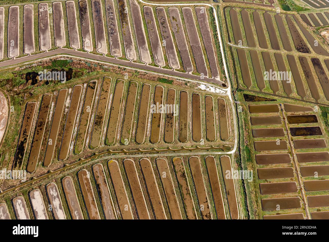 France, Charente Maritime, Bourcefranc le Chapus, oyster farms claires (aerial view) Stock Photo
