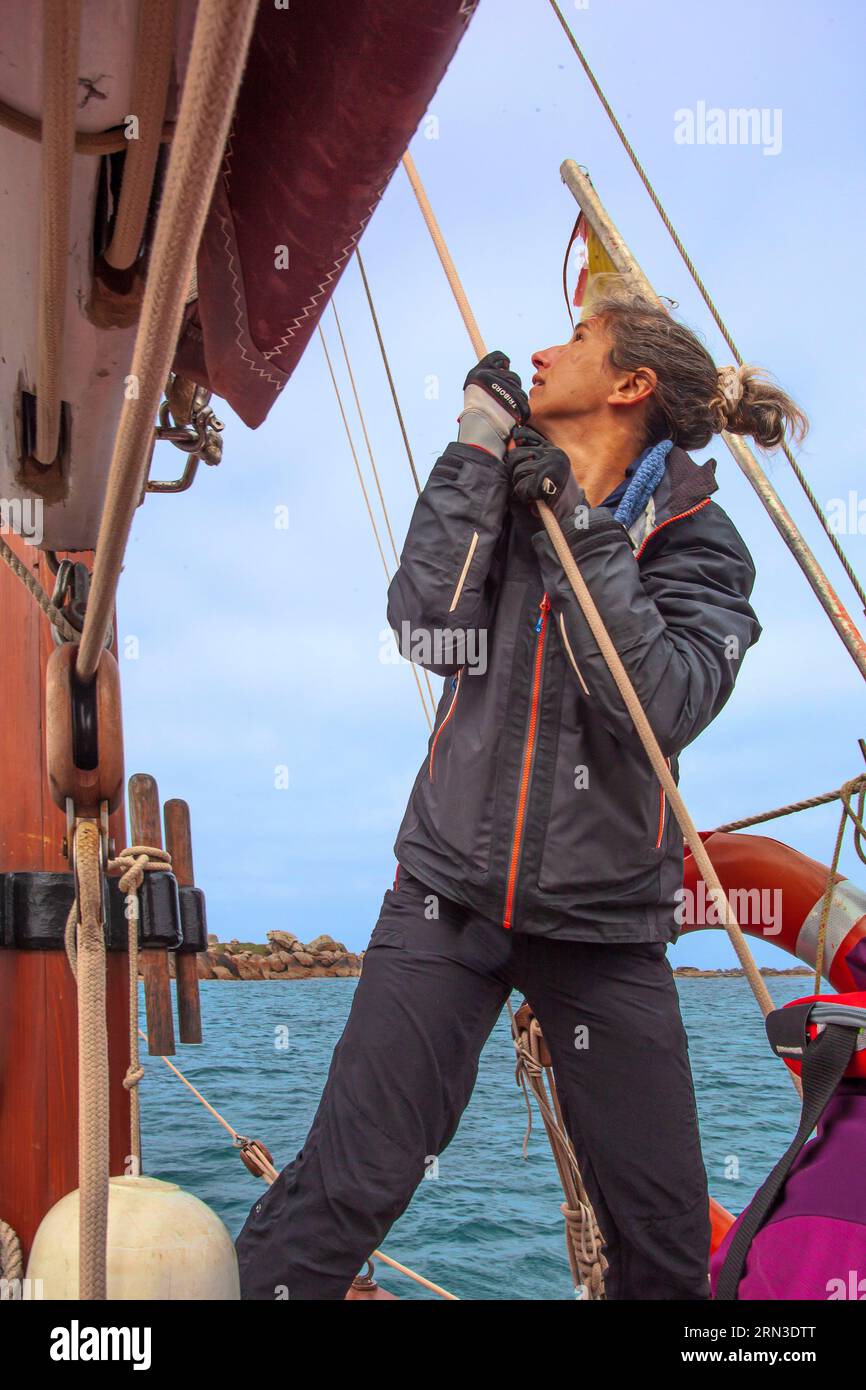 France, Cotes d'Armor, Perros Guirec, Laurence Delmont, patroness of the traditional sailboat Sant C'hireg (Saint Guirec) maneuvering, sailing with her crew towards the nature reserve of Sept Iles Stock Photo