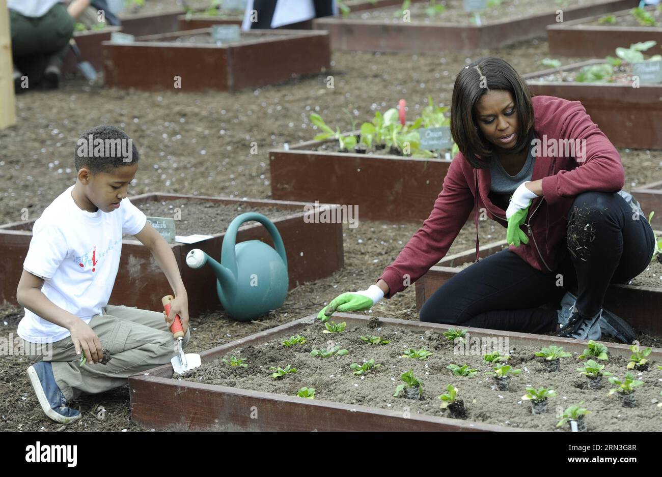 (150415) -- WASHINGTON D.C., April 15, 2014 -- U.S. First Lady Michelle Obama(R) plants with school children in the White House Kitchen Garden on the South Lawn of the White House in Washington D.C., capital of the United States, April 15, 2015. U.S. First Lady Michelle Obama joined FoodCorps leaders and local students to plant the White House Kitchen Garden for the seventh year in a row. ) US-WASHINGTON D.C.-WHITE HOUSE KITCHEN GARDEN BaoxDandan PUBLICATIONxNOTxINxCHN   Washington D C April 15 2014 U S First Lady Michelle Obama r Plants With School Children in The White House Kitchen Garden O Stock Photo