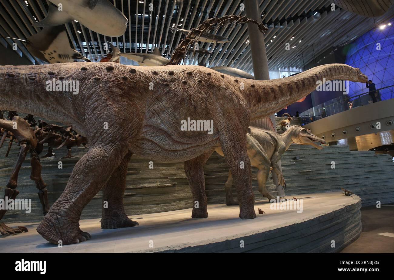 Dinosaur models are on display at Shanghai Natural History Museum in east China s Shanghai, April 11, 2015. The museum, newly opened on April 19, 2015, has a collection of near 290,000 samples, including a complete specimen of a 140-million-year-old dinosaur skeleton of Mamenchisaurus. There are also rare specimens which cannot be found elsewhere outside China, such as Yellow River mammoth, giant salamander, giant panda, and Yangtze Alligator. ) (wf) CHINA-SHANGHAI-NATURAL HISTORY MUSEUM-OPEN (CN) PeixXin PUBLICATIONxNOTxINxCHN   Dinosaur Models are ON Display AT Shanghai Natural History Museu Stock Photo