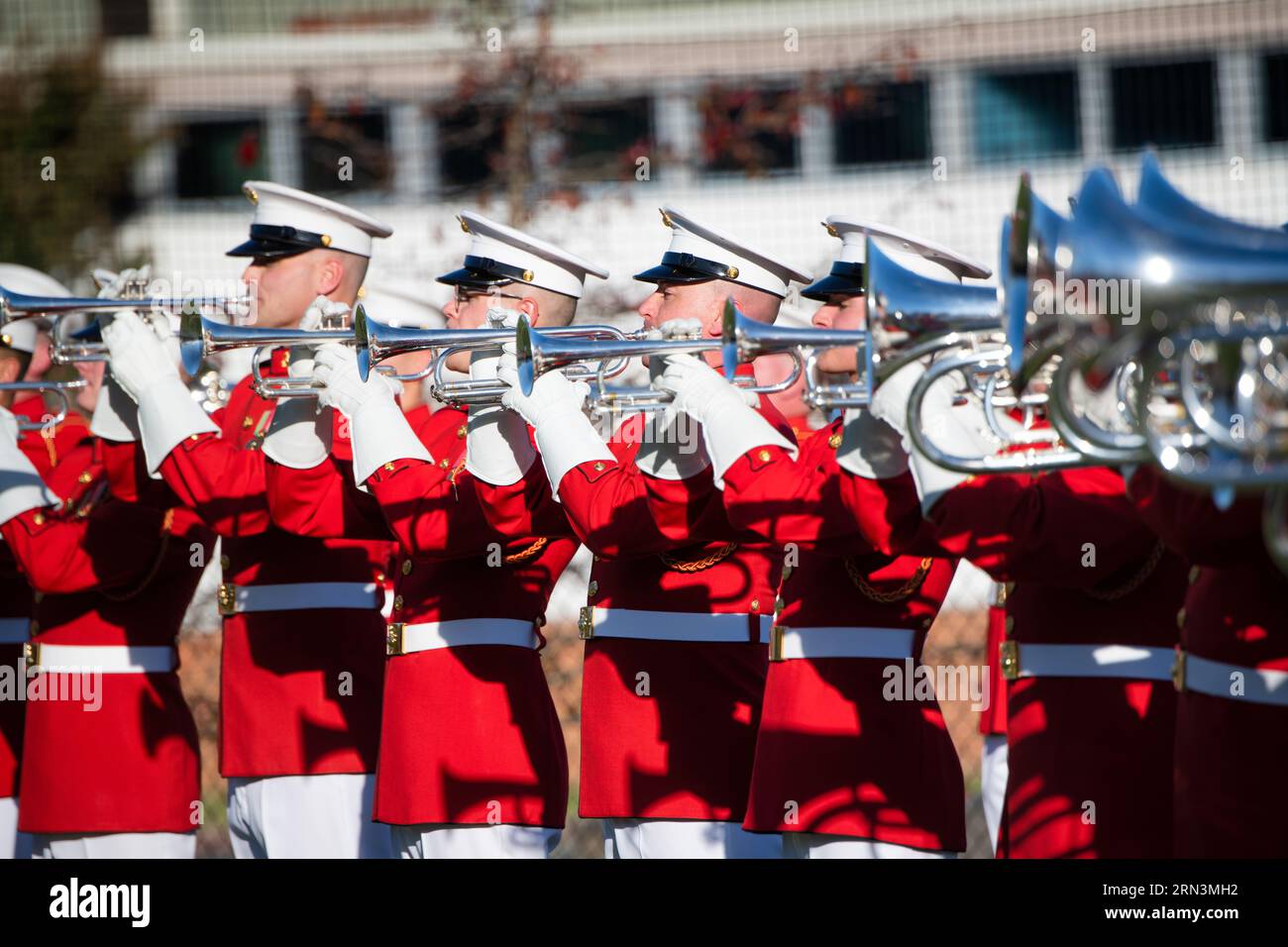 arlington-va-united-states-members-of-the-us-marine-corps-commandant