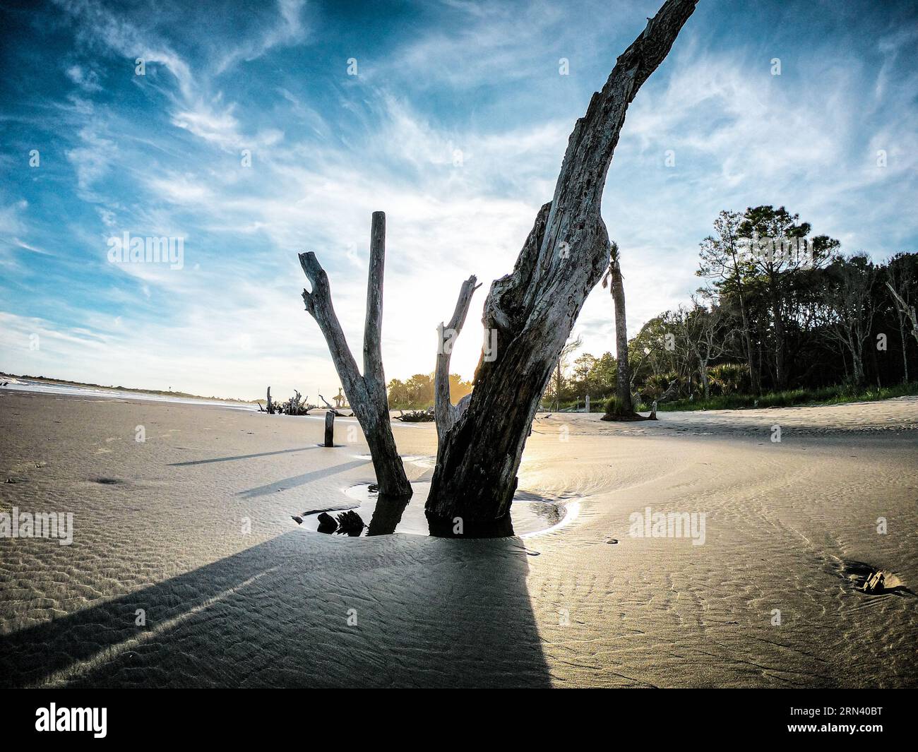 CAPERS ISLAND, South Carolina — A serene view of the unspoiled