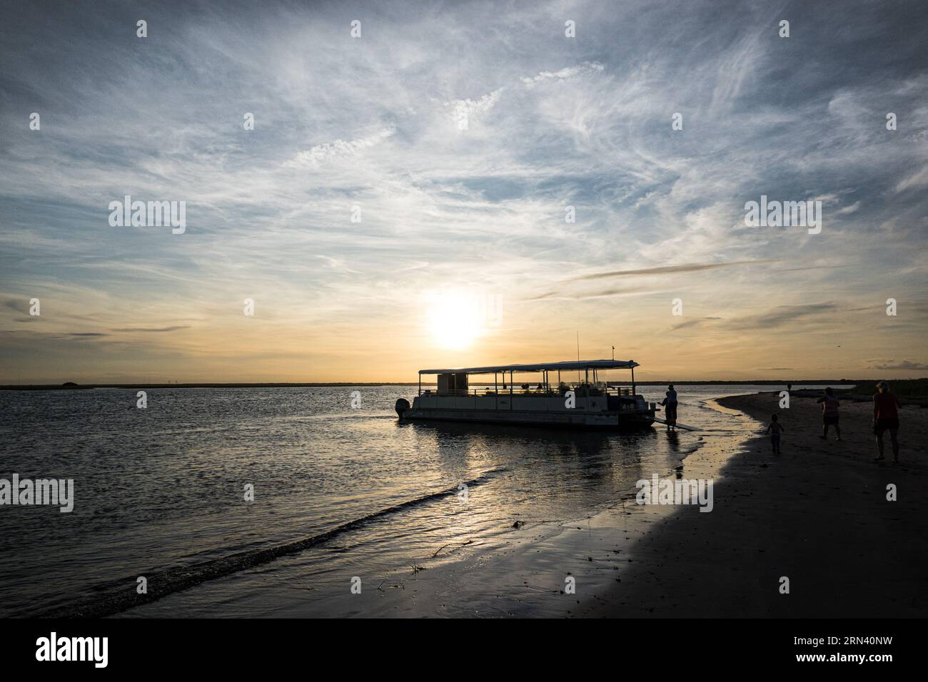 CAPERS ISLAND, South Carolina — A serene view of the unspoiled shoreline of Capers Island, one of the few undeveloped barrier islands along the South Carolina coast. Recognized for its natural beauty, the island offers visitors a rare glimpse into the pristine coastal environments of the region. Stock Photo