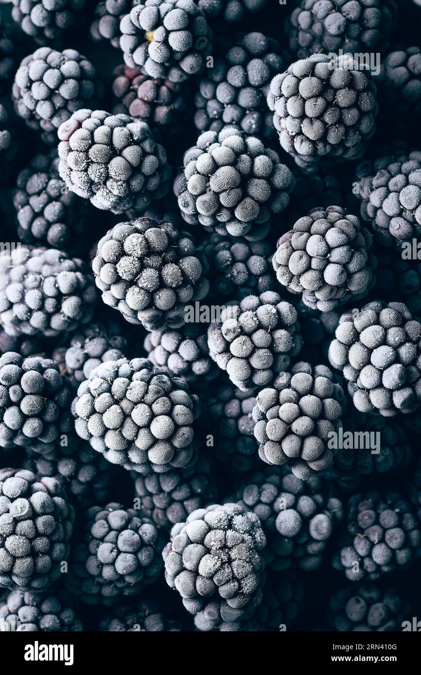 Many Trees Top View Pattern Completely black image texture background hi-res stock photography and ...