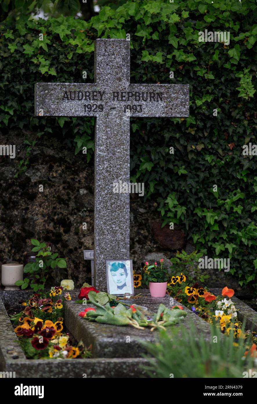 (150504) -- GENEVA, May 4, 2015 -- Flowers are placed at the grave of actress Audrey Hepburn in Tolochenaz village in Switzerland, May 4, 2015. Audrey Hepburn, born in Brussels, Belgium, May 4, 1929, was recognized as a film and fashion icon during Hollywood s Golden Age, and also regarded by the American Film Institute as one of the greatest female screen legends in the history of American cinema. ) SWITZERLAND-MORGES-AUDREY HEPBURN-ANNIVERSARY XuxJinquan PUBLICATIONxNOTxINxCHN   Geneva May 4 2015 Flowers are placed AT The Grave of actress Audrey Hepburn in Tolochenaz Village in Switzerland M Stock Photo