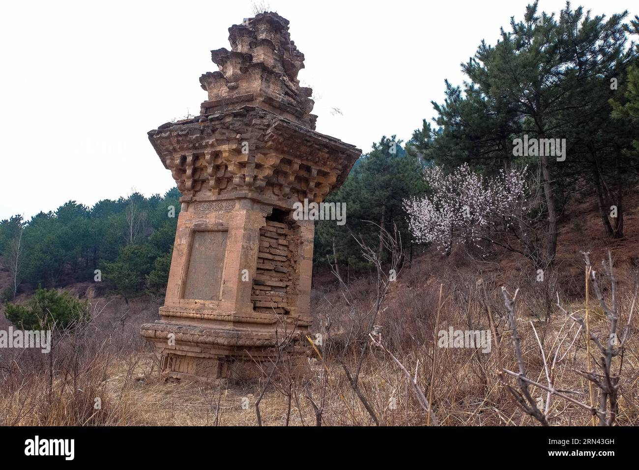 (150505) -- TAIYUAN, May 5, 2015 -- Photo taken on April 8, 2015 shows an ancient brick tower at the Foguang Temple, nestled in Mount Wutai, a sacred Buddhist mountain in north China s Shanxi Province. The East Main Hall of the Foguang Temple, a structure built in 857 during the Tang Dynasty (618-917), is one of the oldest wooden buildings in China. ) (wf) CHINA-SHANXI-ANCIENT BUILDING-FOGUANG TEMPLE (CN) FanxMinda PUBLICATIONxNOTxINxCHN   Taiyuan May 5 2015 Photo Taken ON April 8 2015 Shows to Ancient Brick Tower AT The  Temple nestled in Mount Wutai a Sacred Buddhist Mountain in North China Stock Photo