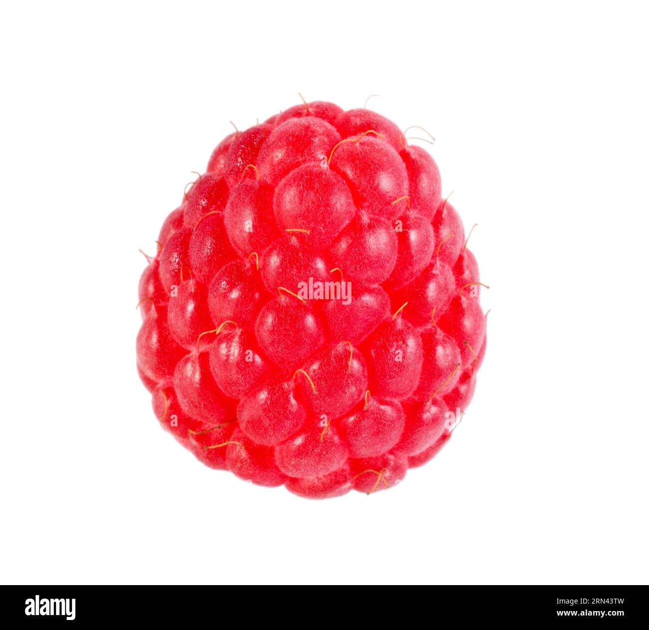 One tasty ripe raspberry isolated on white Stock Photo - Alamy