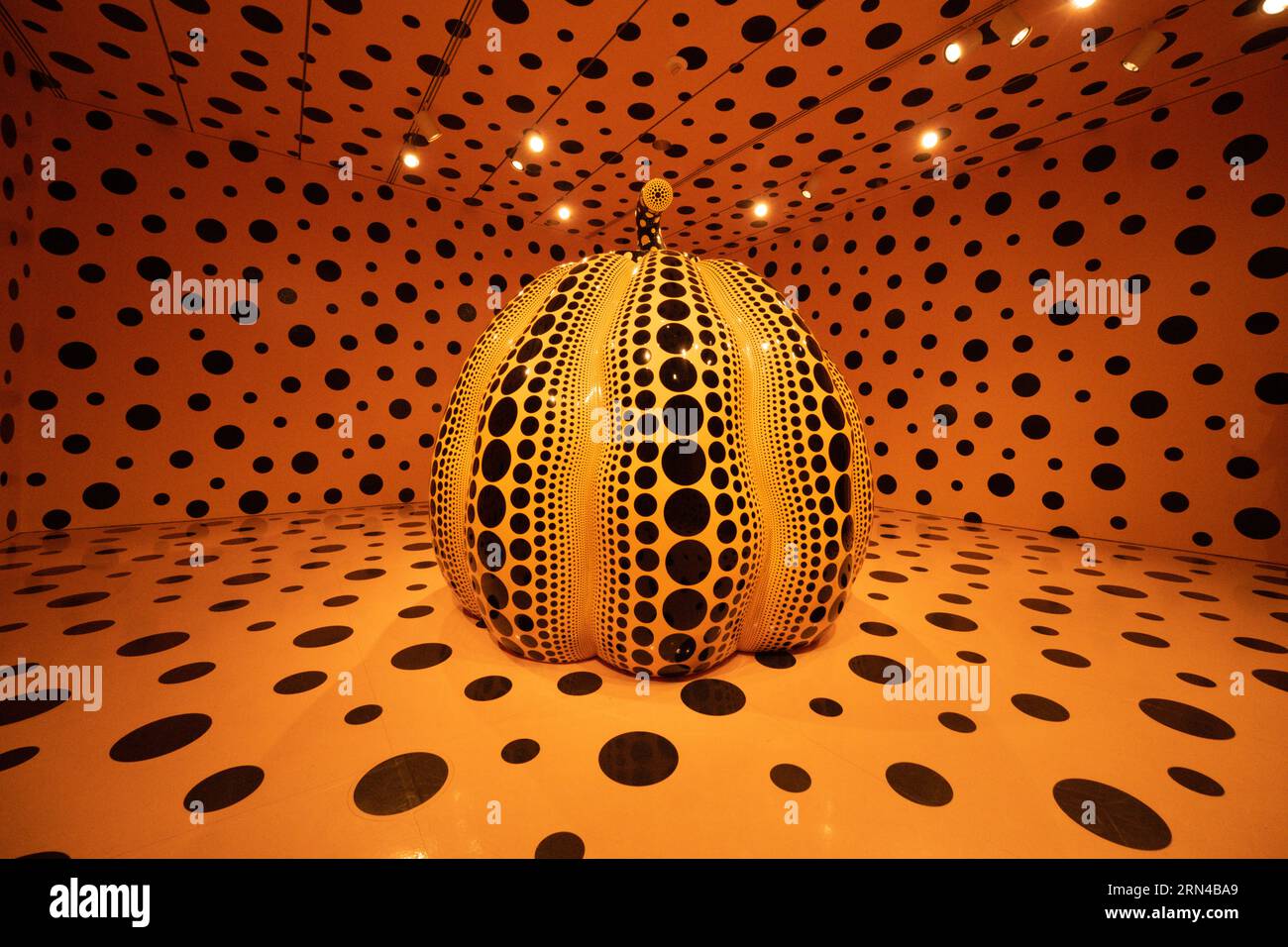 WASHINGTON DC, United States — 'One with Eternity' by Yayoi Kusama graces the halls of the Smithsonian Hirshhorn Museum. This work by the famed Japanese contemporary artist epitomizes her signature style of melding polka dots, mirrors, and infinite space, highlighting the interconnectedness of life and the cosmos. Stock Photo