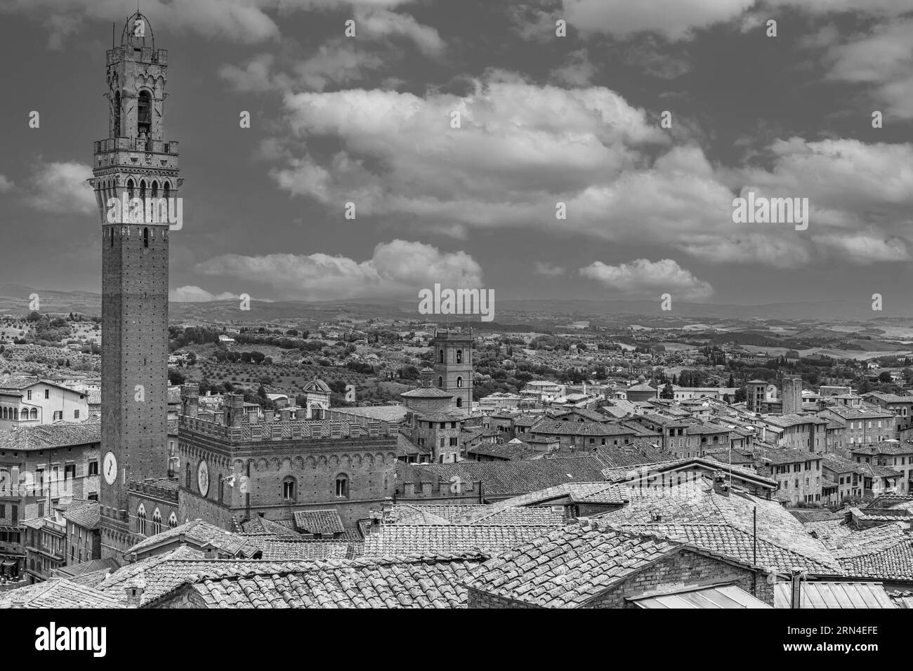 Above the roofs of Siena with view of the bell tower Torre del Mangia, Siena, black and white photograph, Siena, Tuscany, Italy Stock Photo