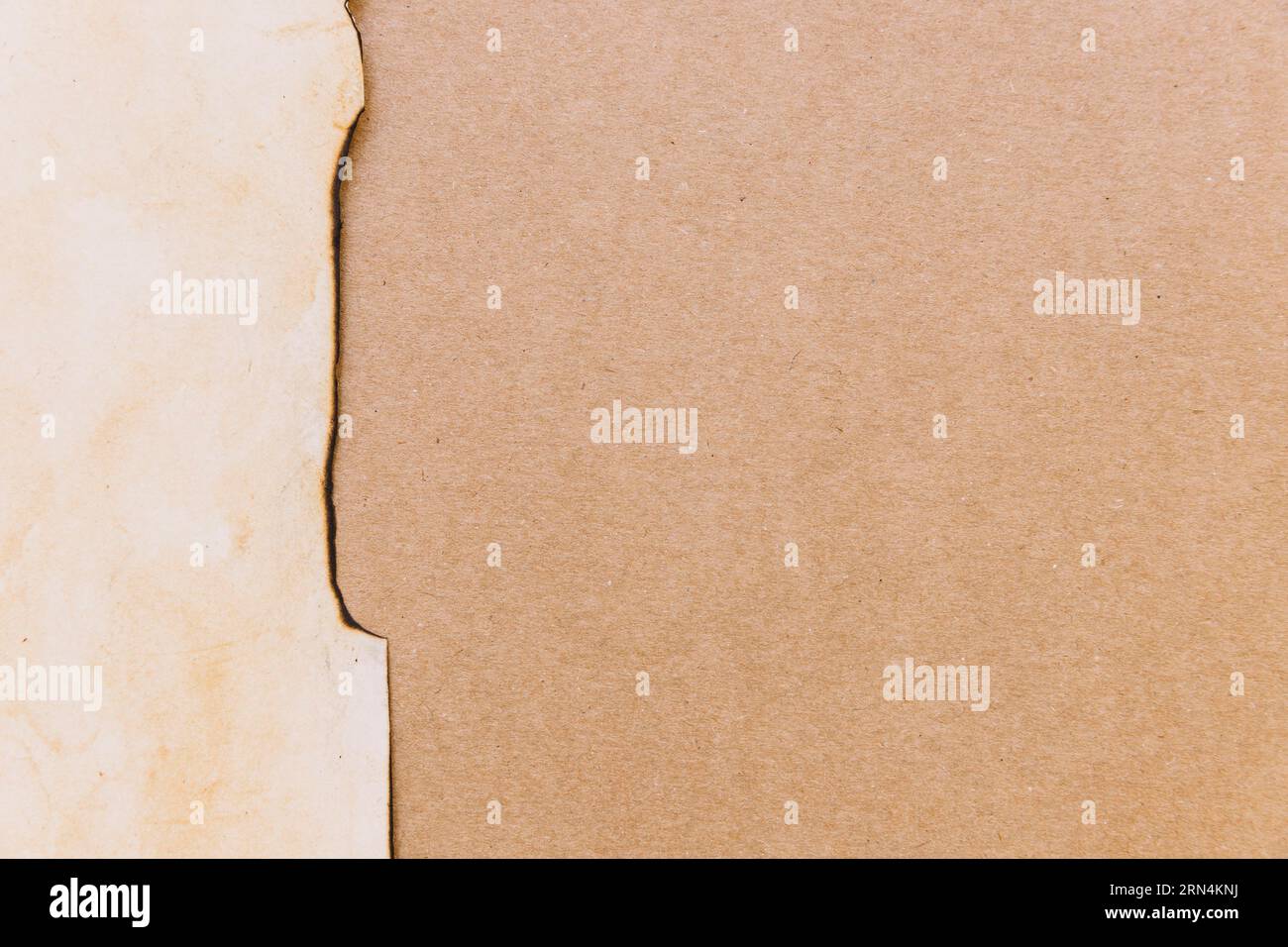 Ripped cardboard paper texture Stock Photo - Alamy