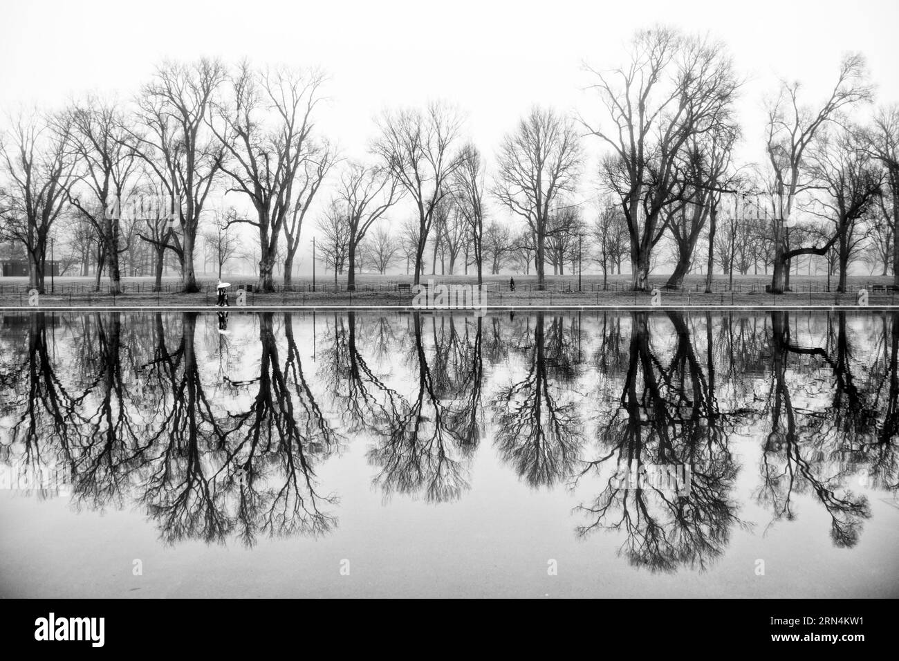 Reflection of trees in water Black and White Stock Photos & Images - Alamy