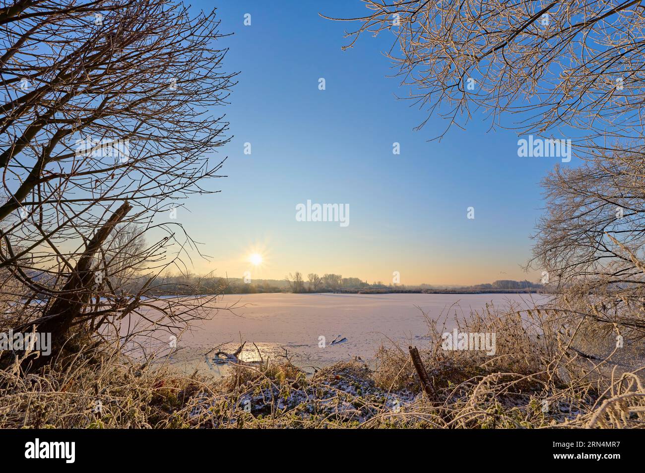 Landscape, Lake, Frozen, Snow, Sky, Sunrise, Morning, Reinheimer Teich