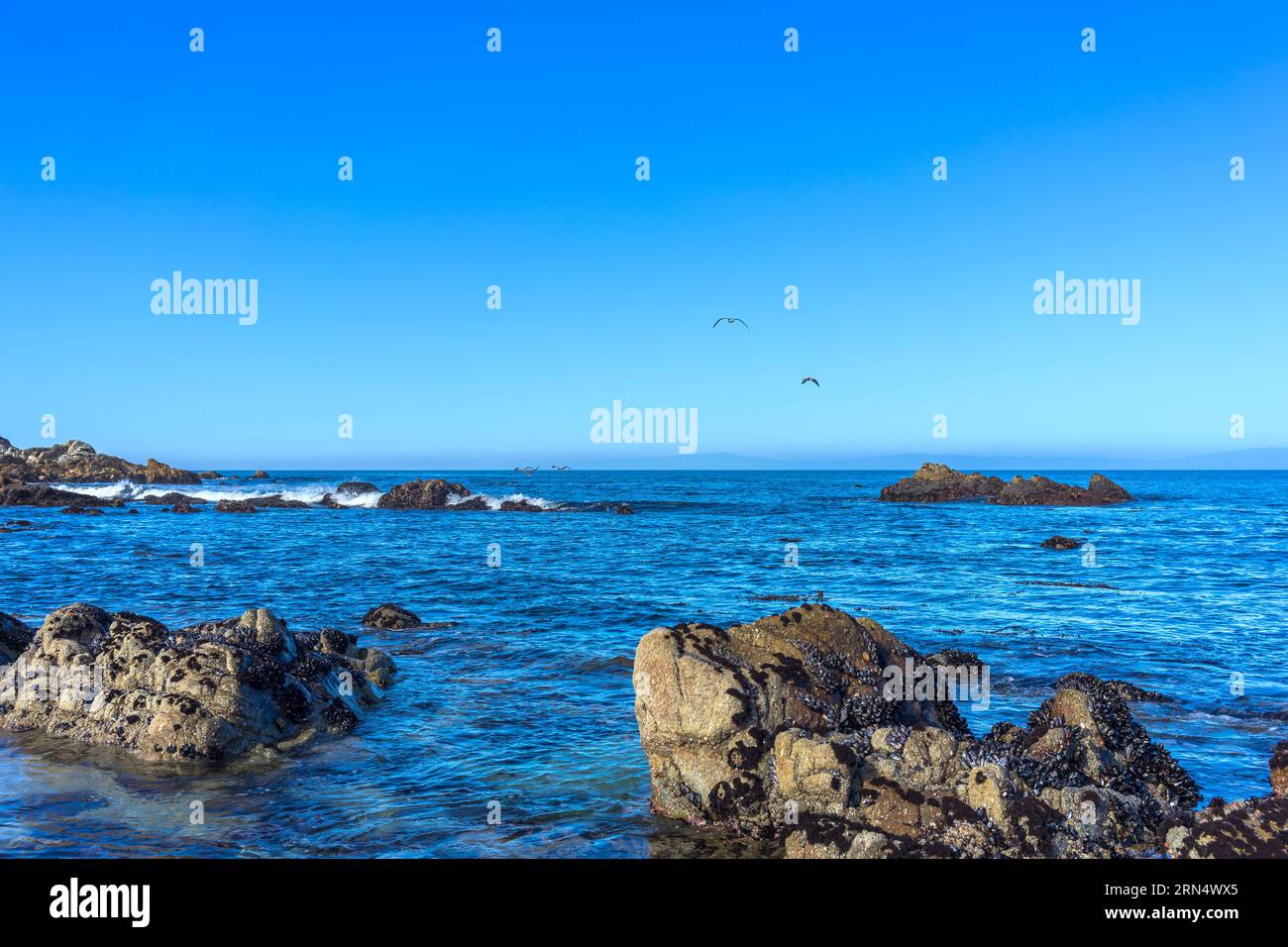 Monterey Bay ocean view with boulders and birds flying away Stock Photo