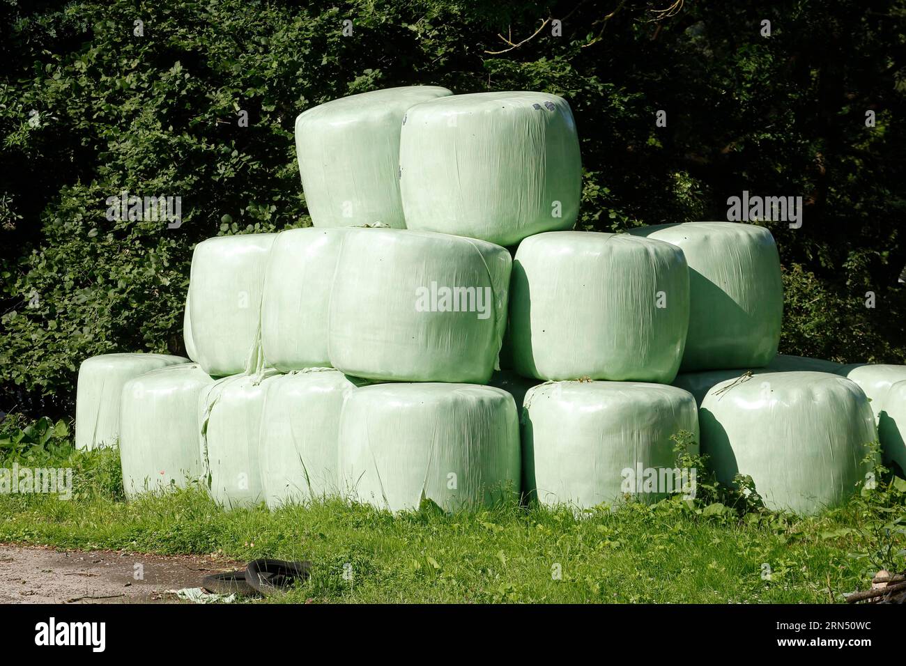 Grass silage packed with green plastic sheeting, hay, Lower Saxony, Germany Stock Photo