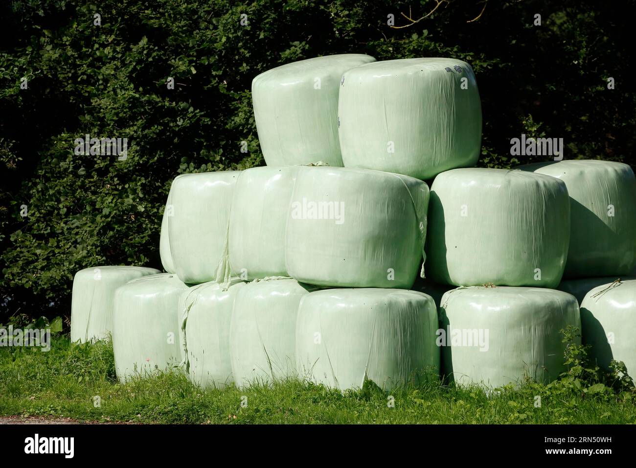 Grass silage packed with green plastic sheeting, hay, Lower Saxony, Germany Stock Photo