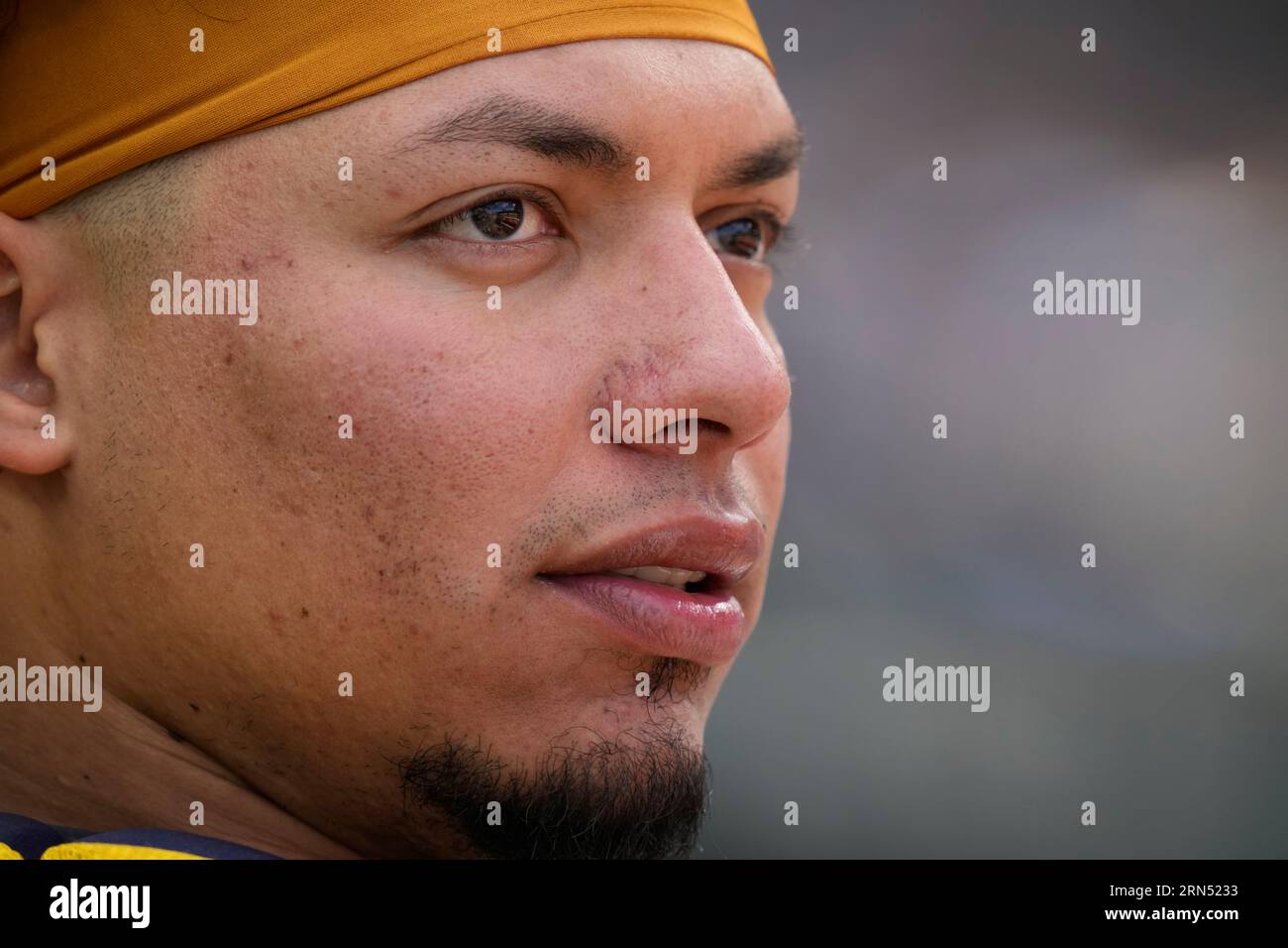 MILWAUKEE, WI - JUNE 08: Milwaukee Brewers catcher William Contreras (24)  bats during an MLB game against the Baltimore Orioles on June 08, 2023 at  American Family Field in Milwaukee, Wisconsin. (Photo by Joe Robbins/Icon  Sportswire) (Icon