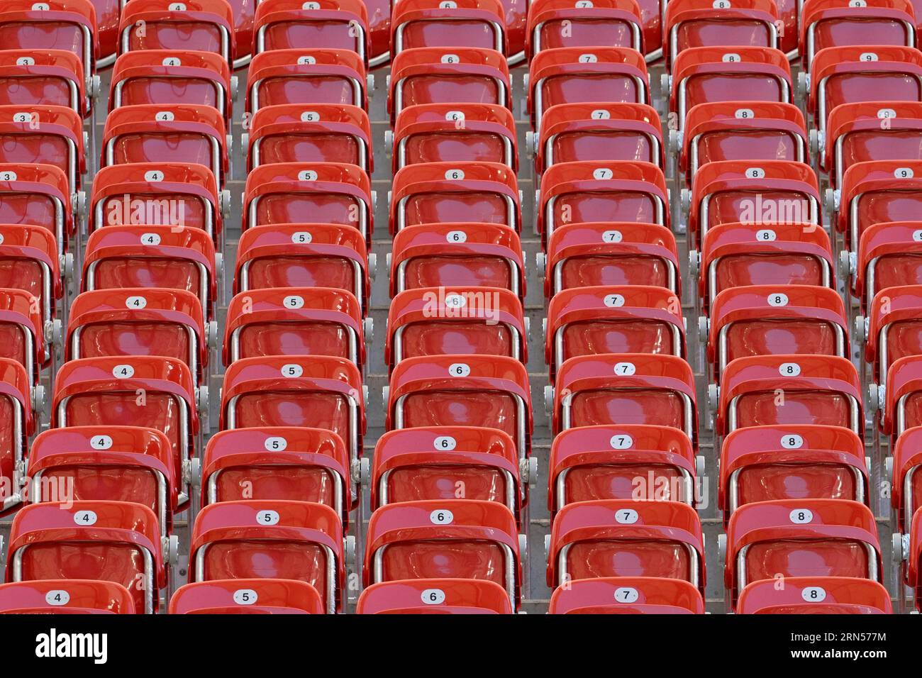 Stadium seat cushion hi-res stock photography and images - Alamy