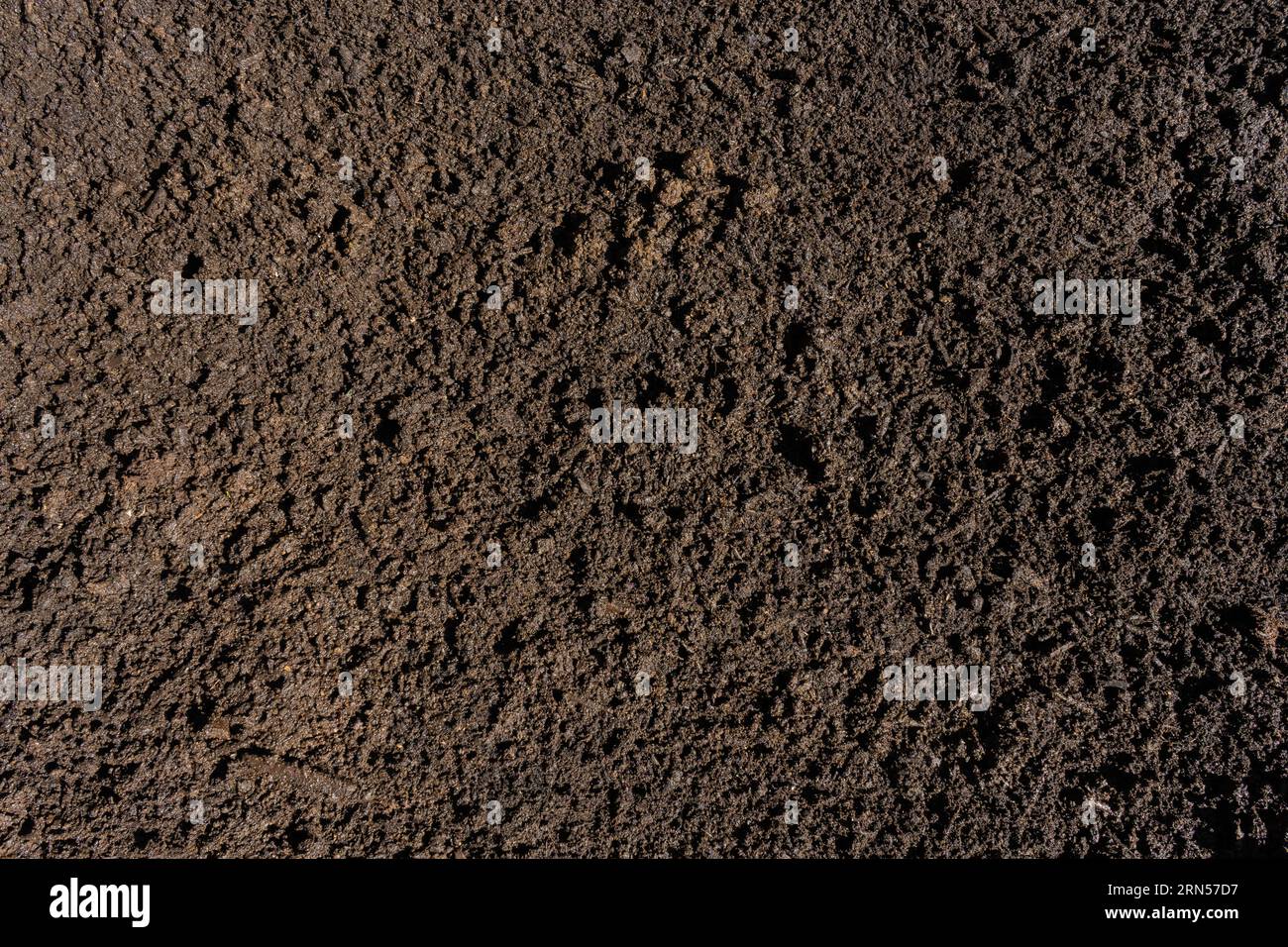 wet fertile soil texture Stock Photo Alamy
