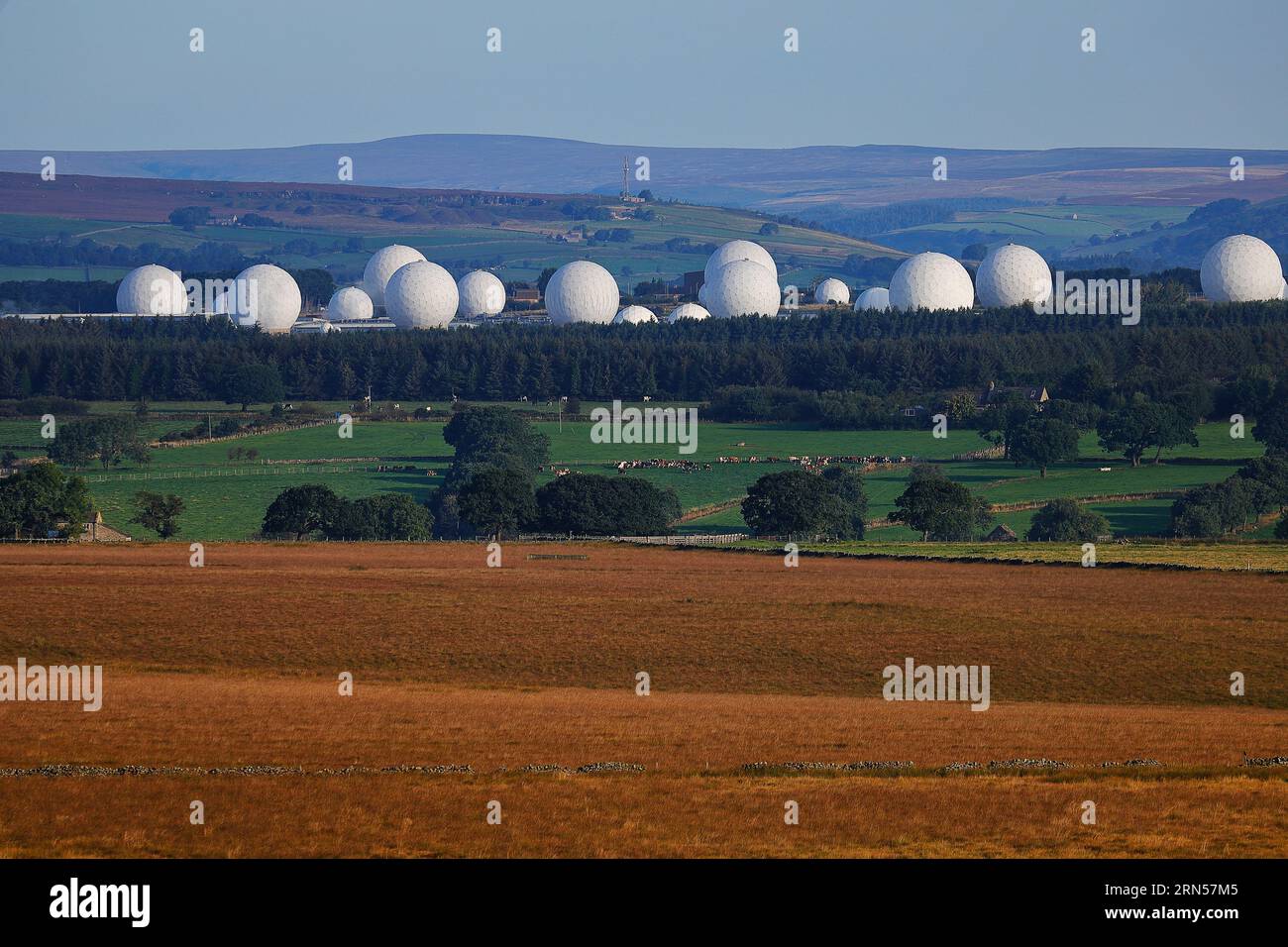 Golf ball radars hires stock photography and images Alamy