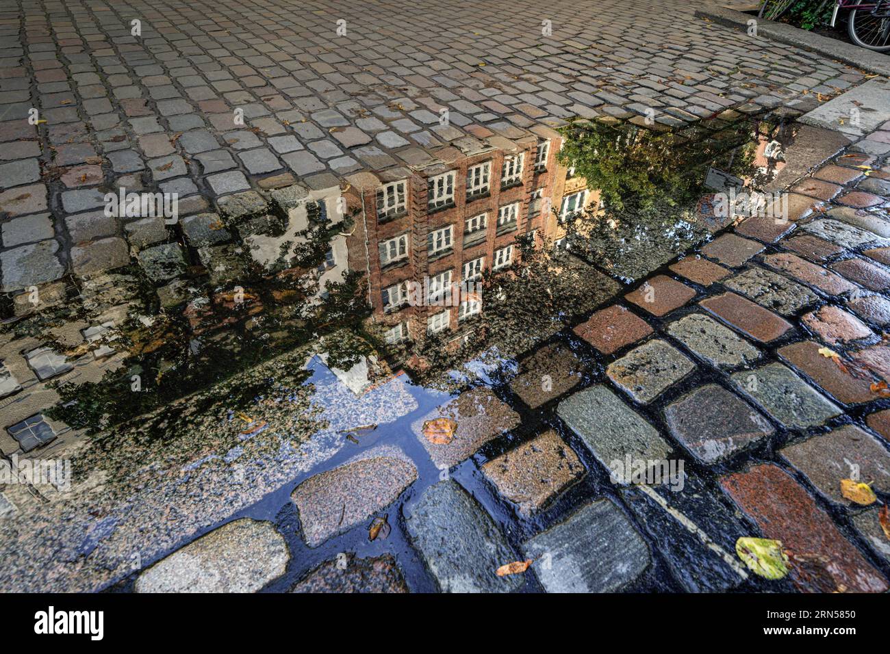 Reflection of houses in puddle, Old Town, Hamburg, Germany Stock Photo ...