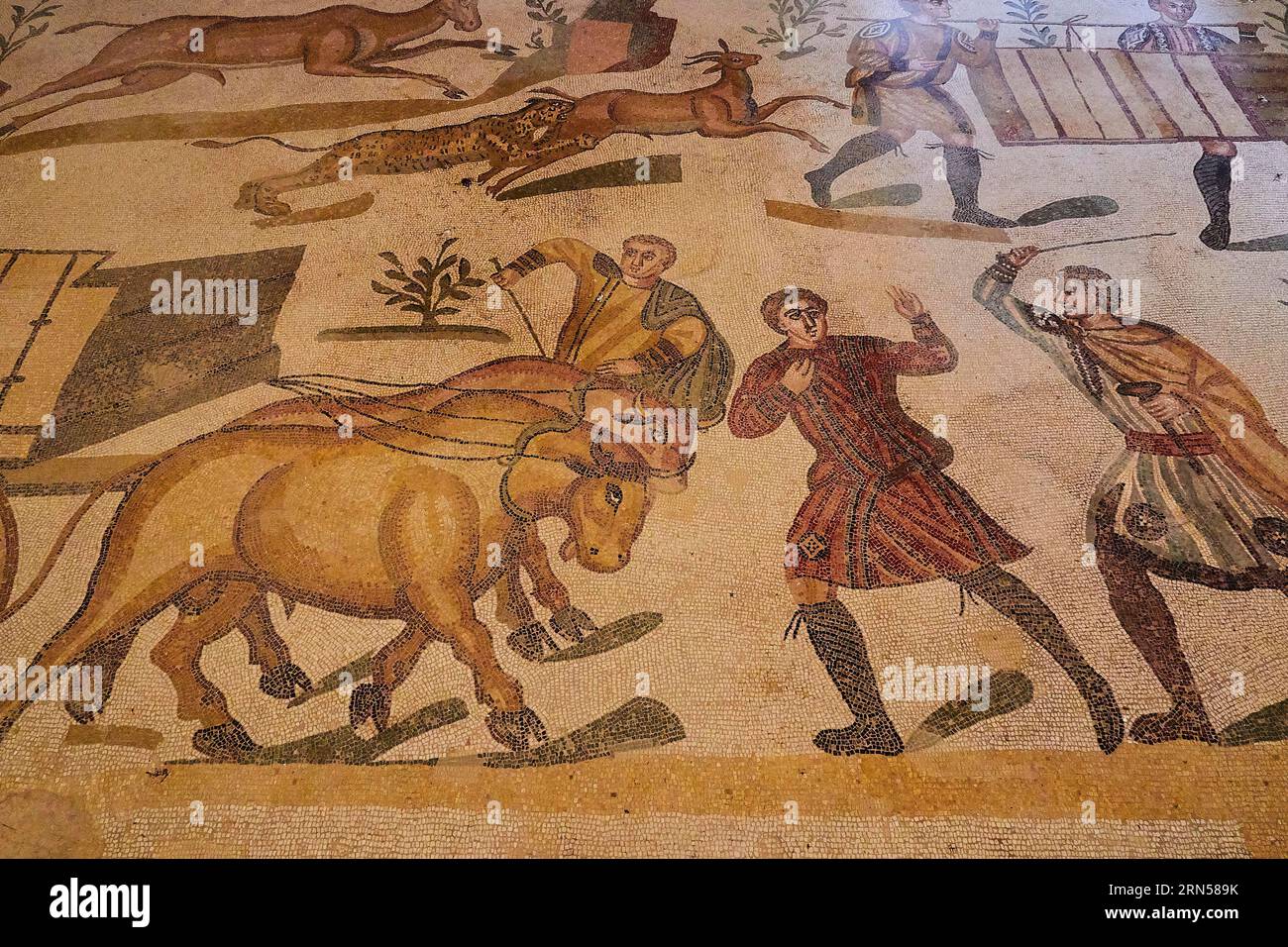 Ox-cart, men, Roman mosaics, Villa Romana del Casale, UNESCO World Heritage Site, Piazza Armerina, Enna Province, Sicily, Italy Stock Photo