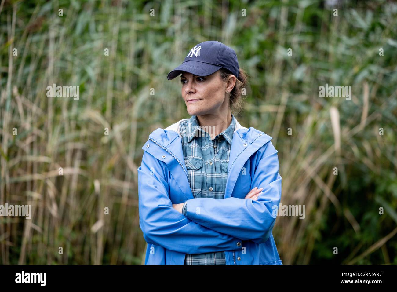 Sweden's Crown Princess Victoria harvests reed at Rydboholm farm in Akersberga, outside Stockholm, Sweden, on August 30, 2023. Photo: Christine Olsson / TT / kod 10430 Stock Photo