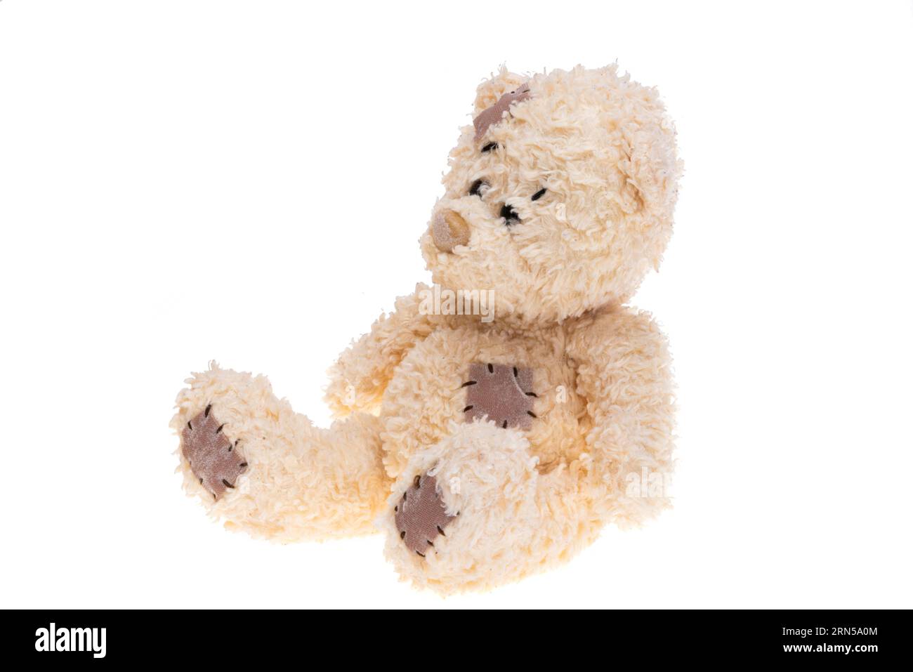 soft toy bear isolated on white background Stock Photo - Alamy