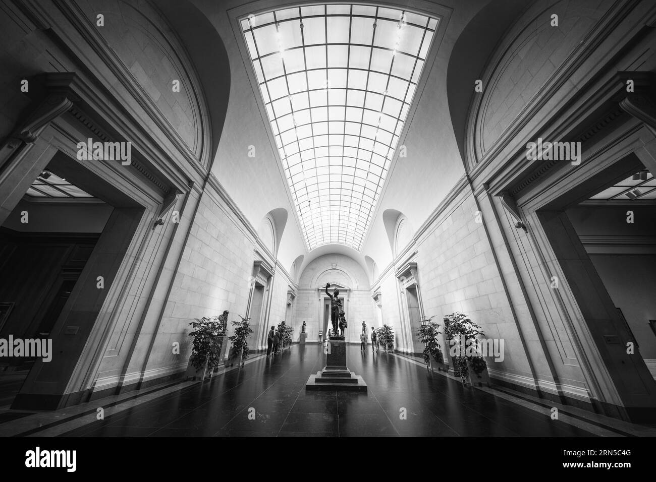 Zoomed to 12mm Stock Photo - Alamy