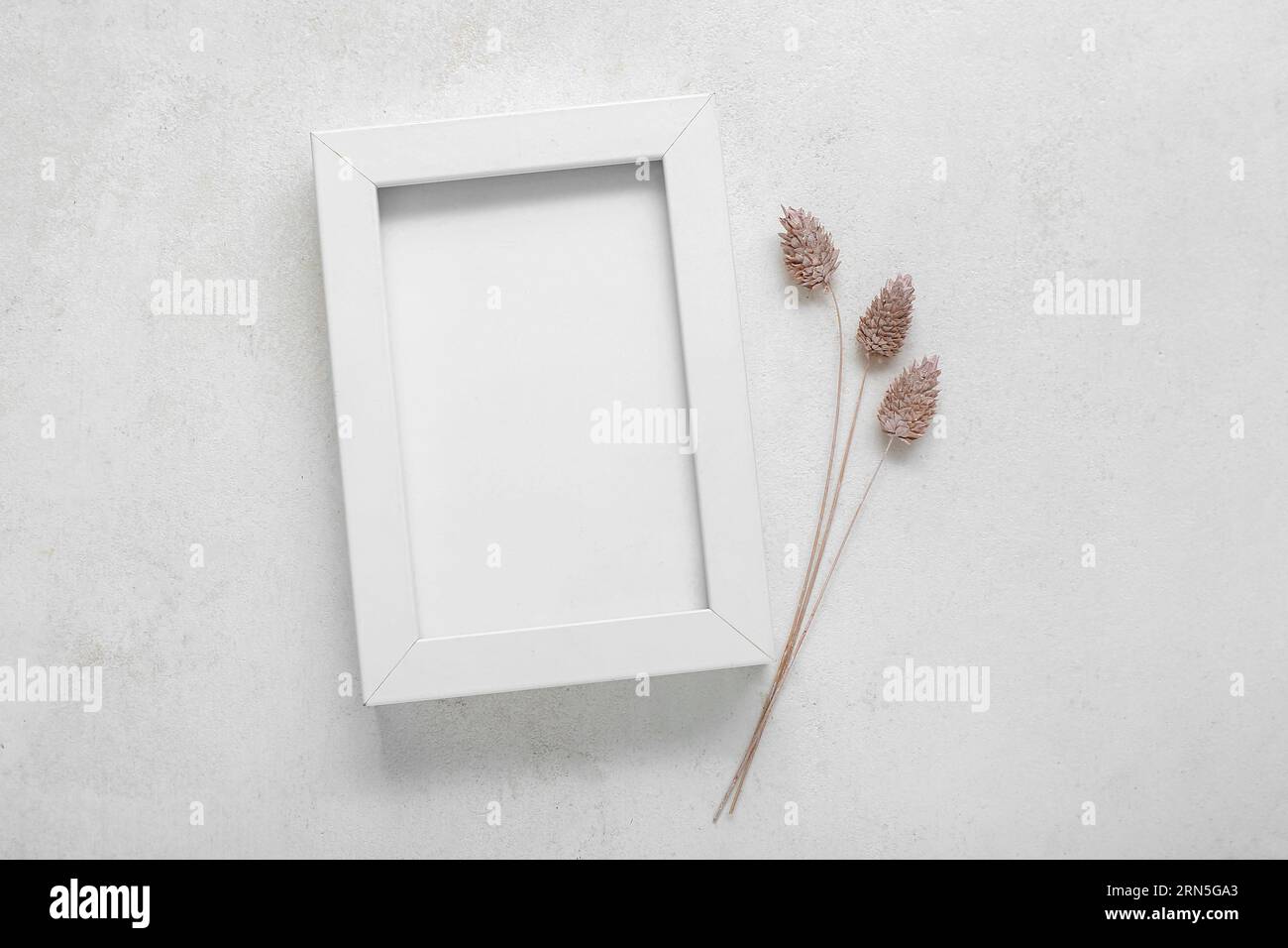 Photo frame with dried phalaris on white grunge background Stock Photo