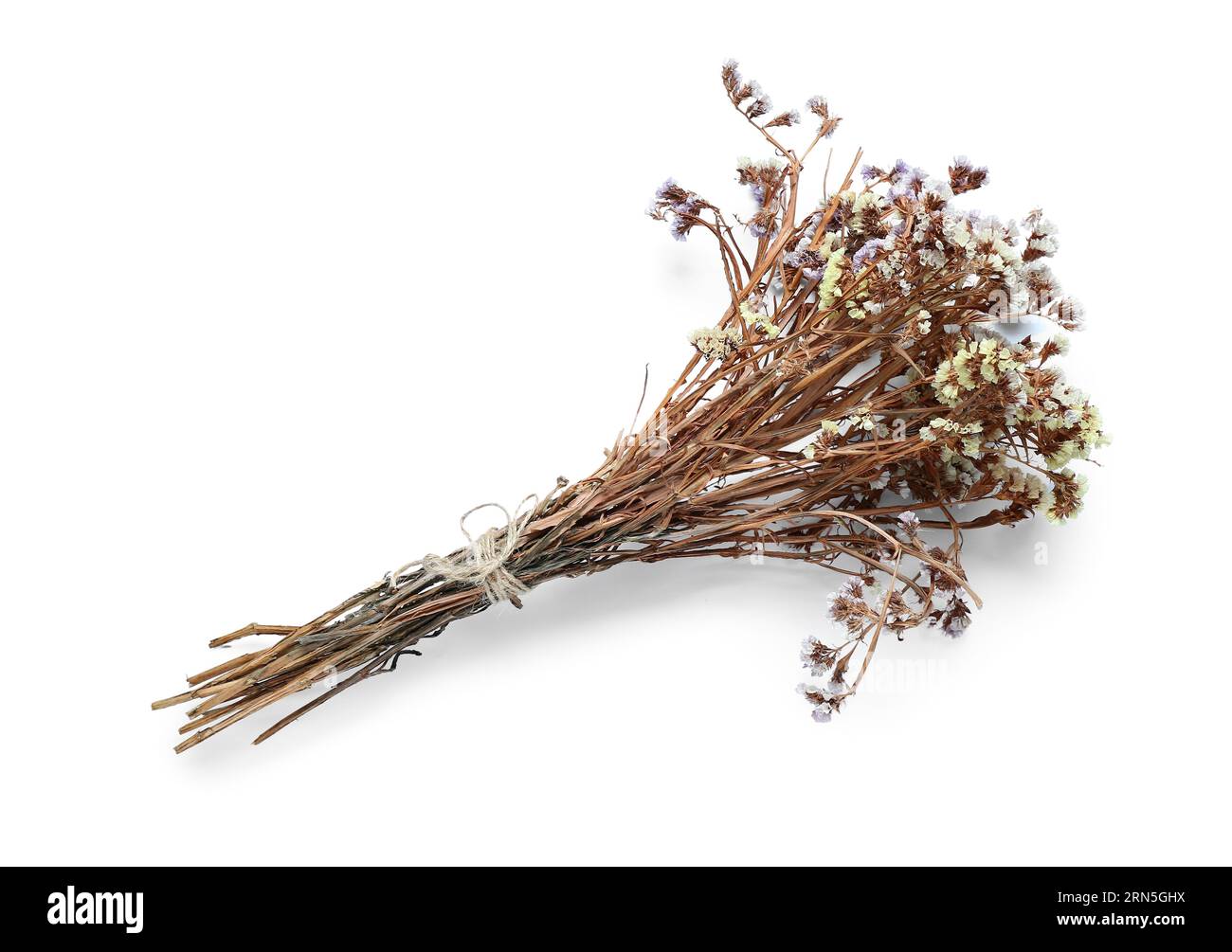 Dried flowers on white background Stock Photo - Alamy