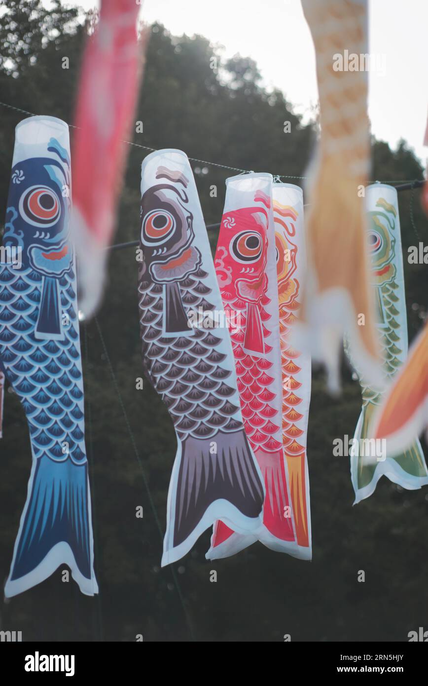 Japanese Children's Day fish-flag decoration Stock Photo - Alamy
