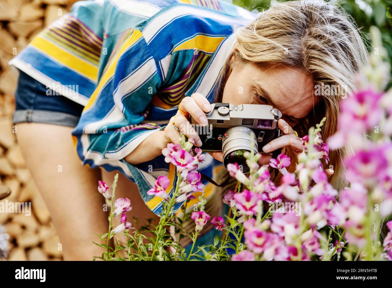 Germany, young woman photographing blooming flowers in the garden,  portrait, camera, photography, smile, young woman, blonde, caucasian,  desire Stock Photo - Alamy