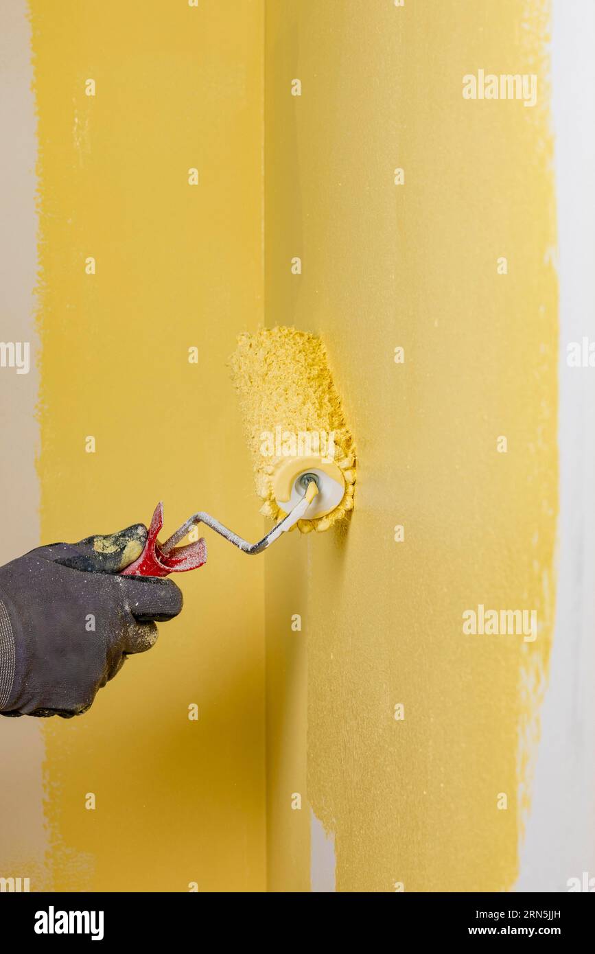 Wall is painted with yellow paint, hand with paint roller Stock Photo