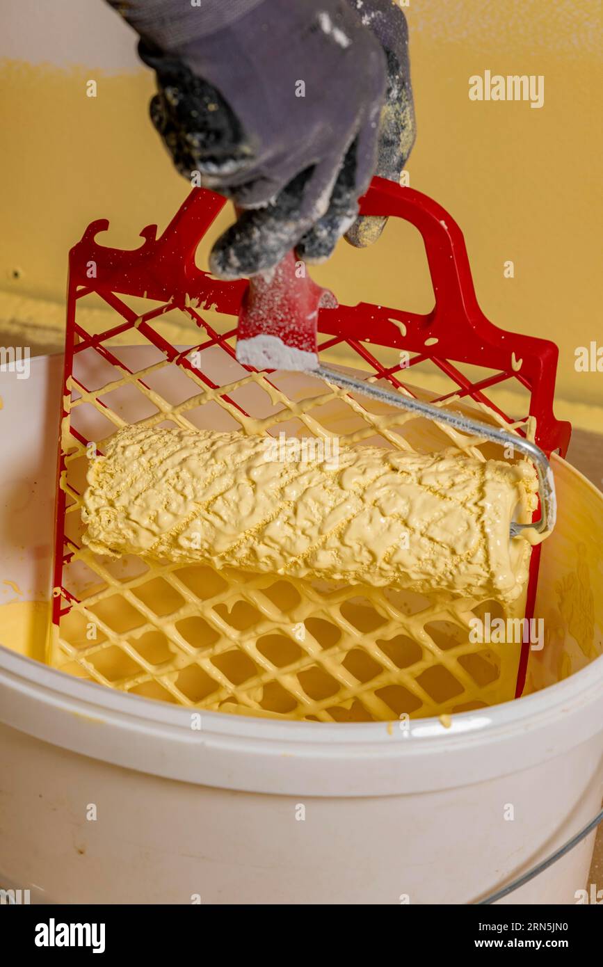 Paint roller on scraper grid in bucket with wall paint, painting work