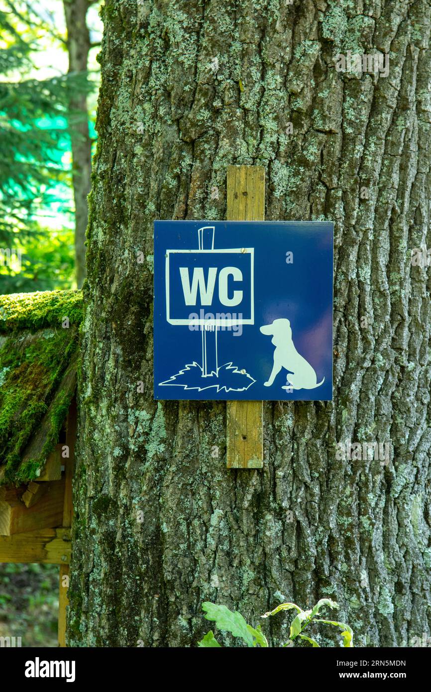 Blue dog toilet sign board on the tree. WC toilet for dogs signboard. Stock Photo