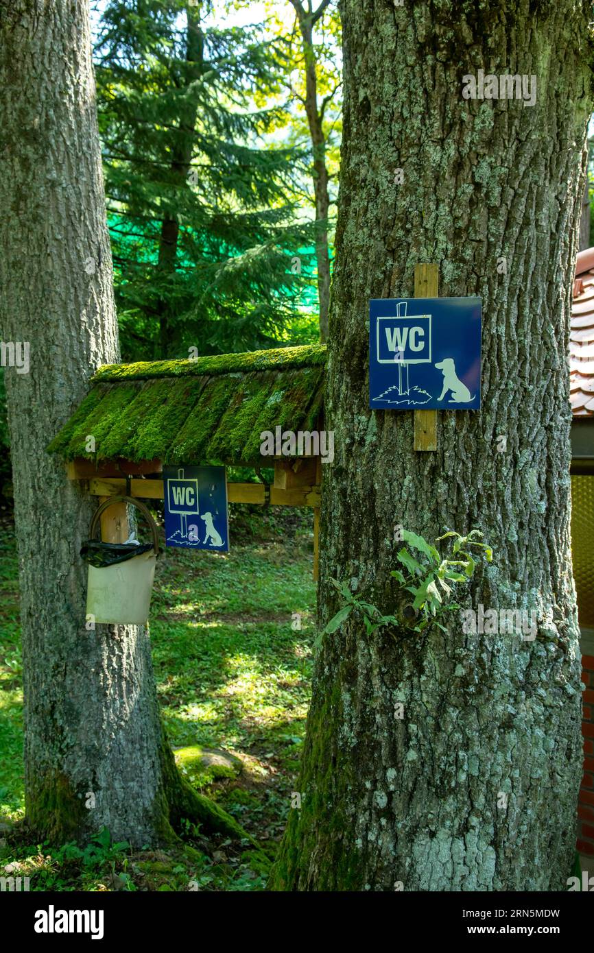 Blue dog toilet sign board on the tree. WC toilet for dogs signboard. Stock Photo