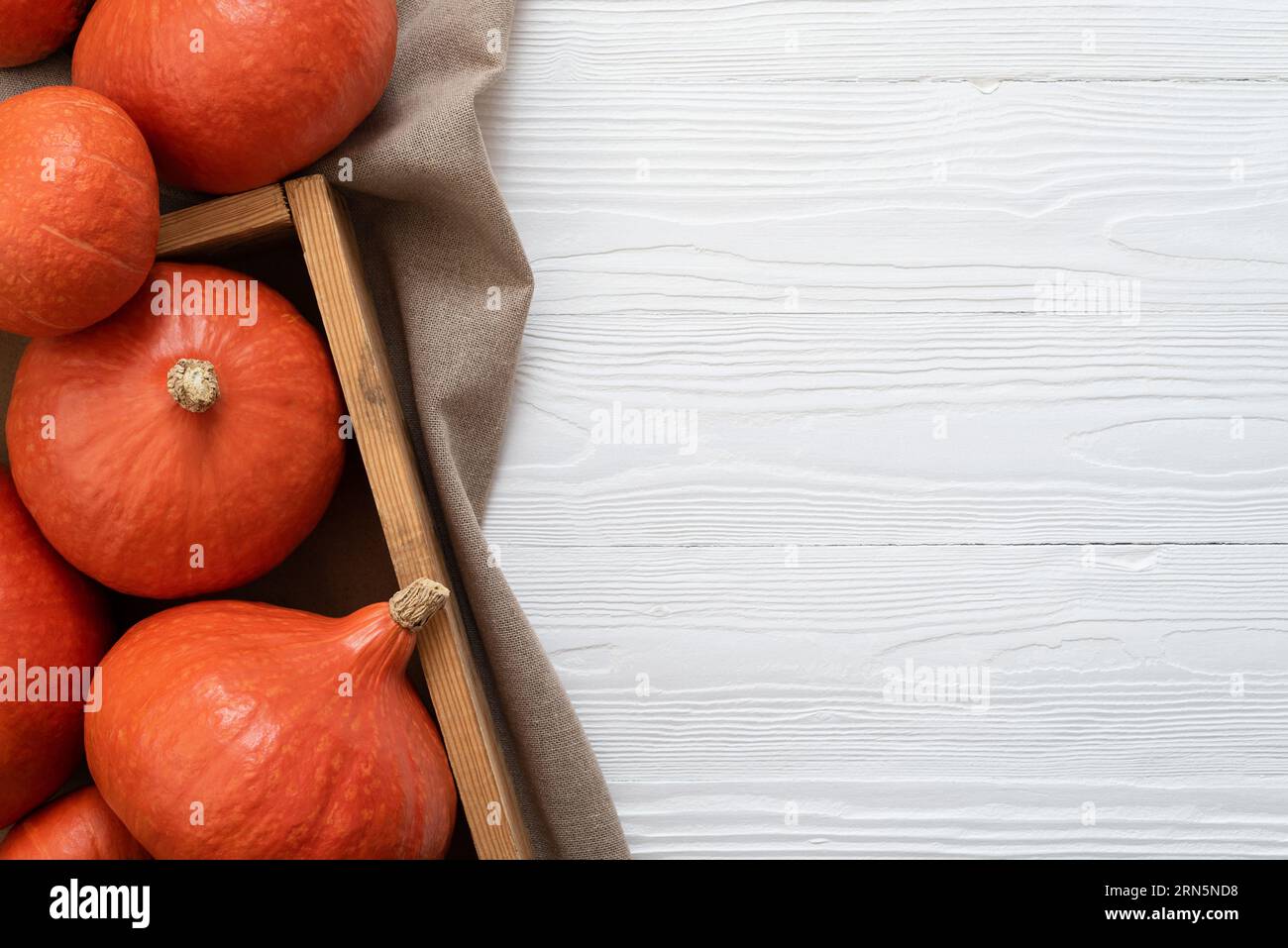 Harvest Orange pumpkin Red Kuri aka Hokkaido squash or Uchiki Kuri on White Background Stock Photo