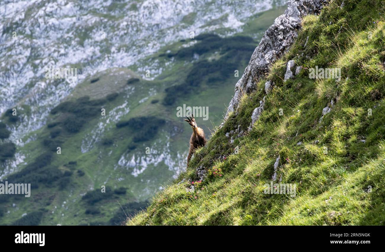 Steep slope hi-res stock photography and images - Alamy