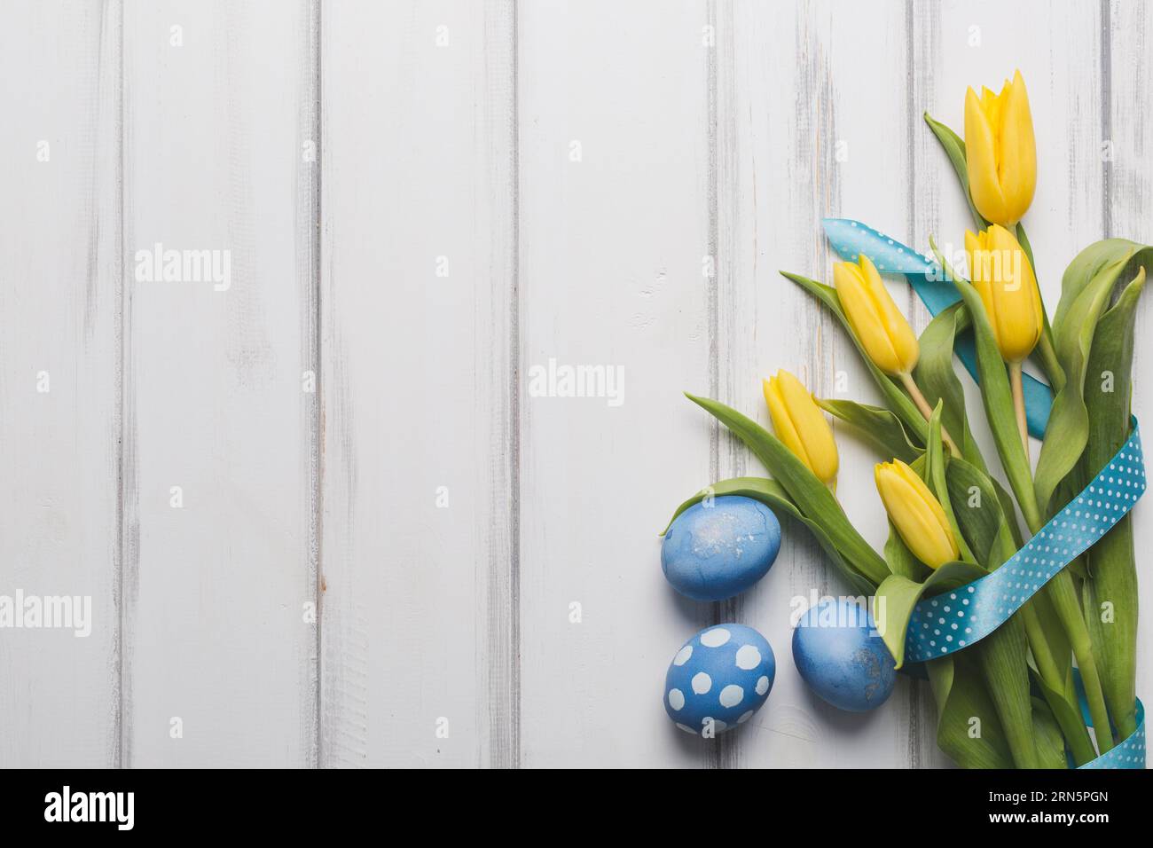 Blue eggs near tulips Stock Photo