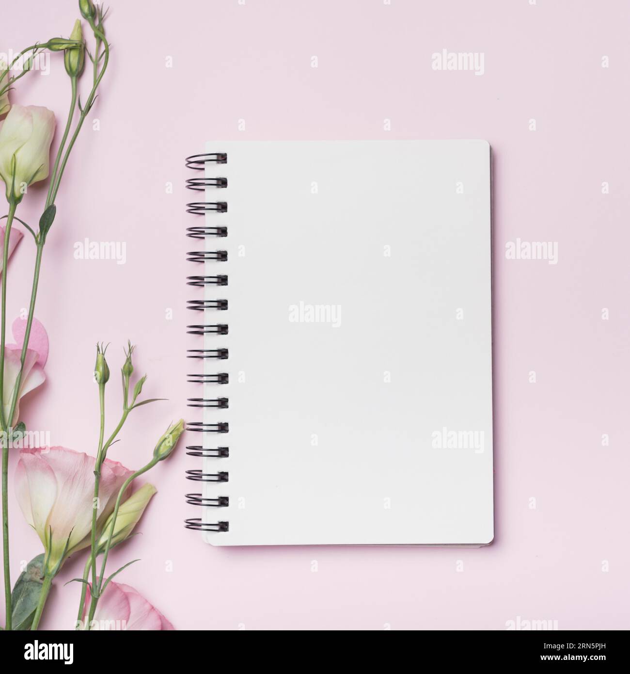Blank spiral notebook with eustoma flowers against pink backdrop Stock Photo
