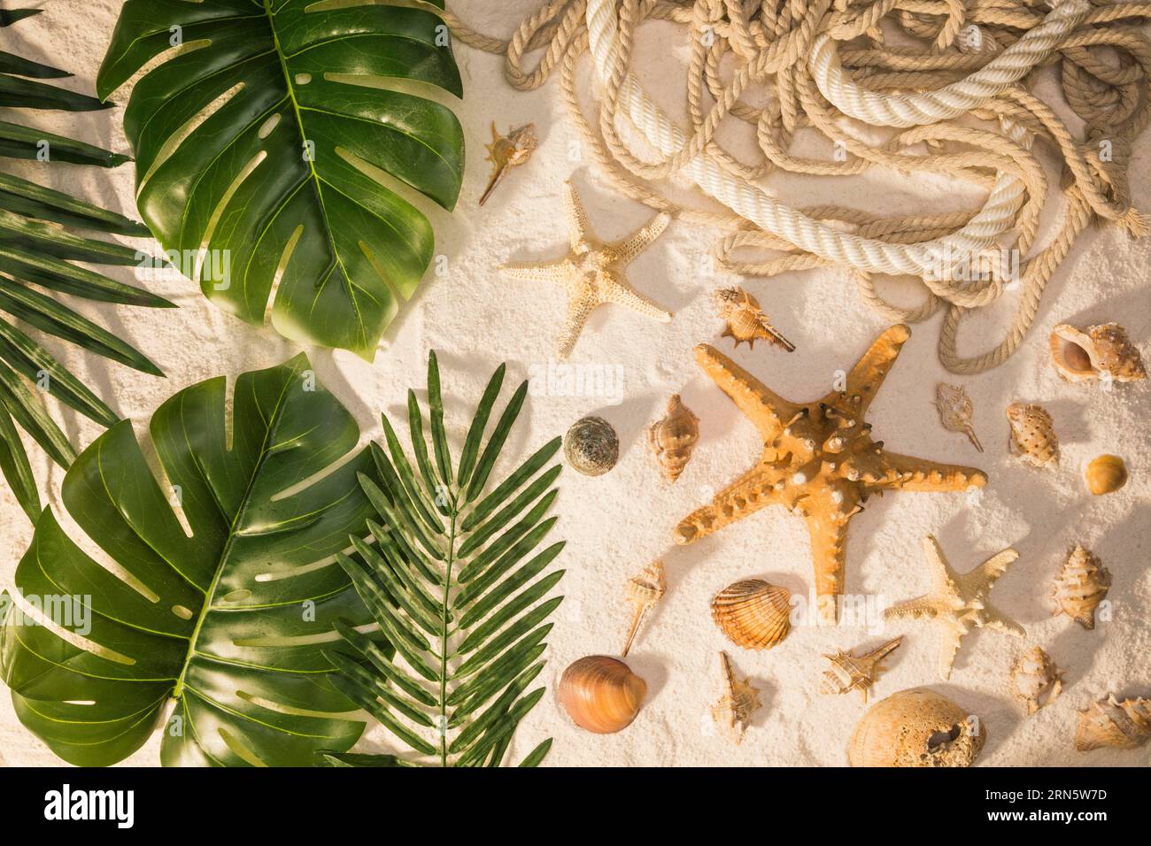 Tropical plants seashells Stock Photo