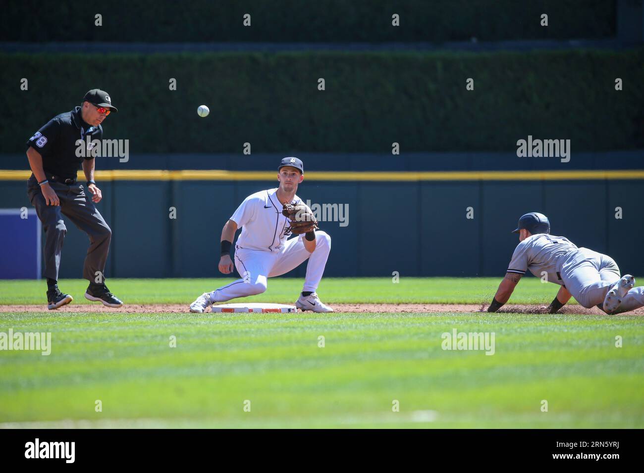 MLB Stories - Zack Short