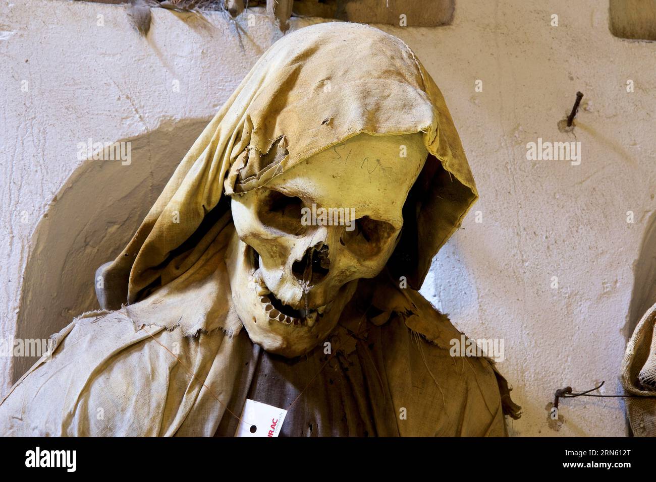 Skull, Hood, Portrait, Catacombe dei Cappuccini, Capuchin Monastery ...