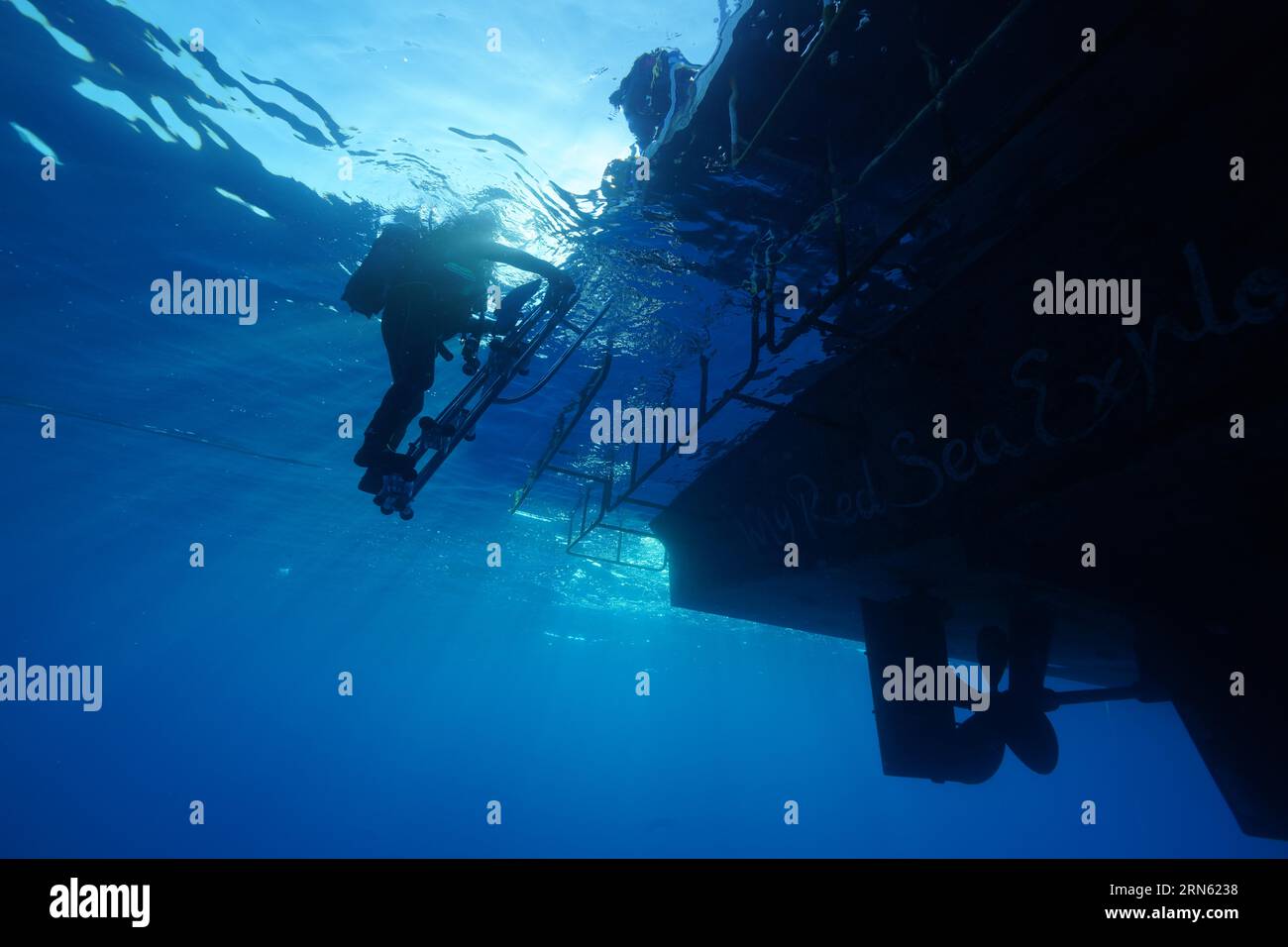 Safari boat, dive boat, livaboard Red Sea Explorer from below, ladder, exit. Diver climbing