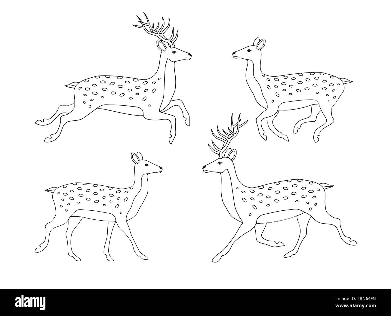 Vector set of flat hand drawn outline deer isolated on white background ...
