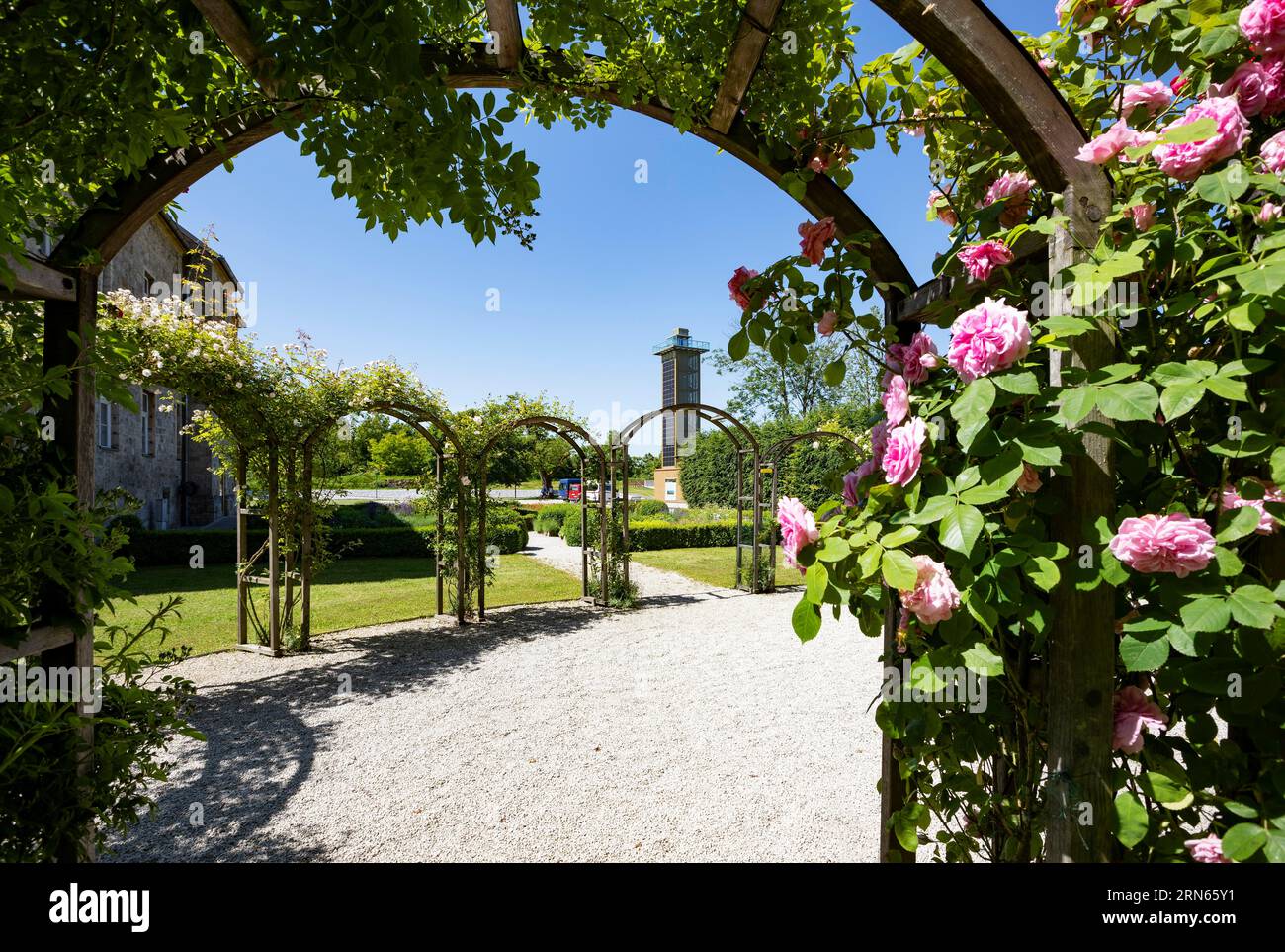 Rose garden in the Obernberg castle area with observation tower eINNblick, Obernberg am Inn, Innviertel, Upper Austria, Austria Stock Photo
