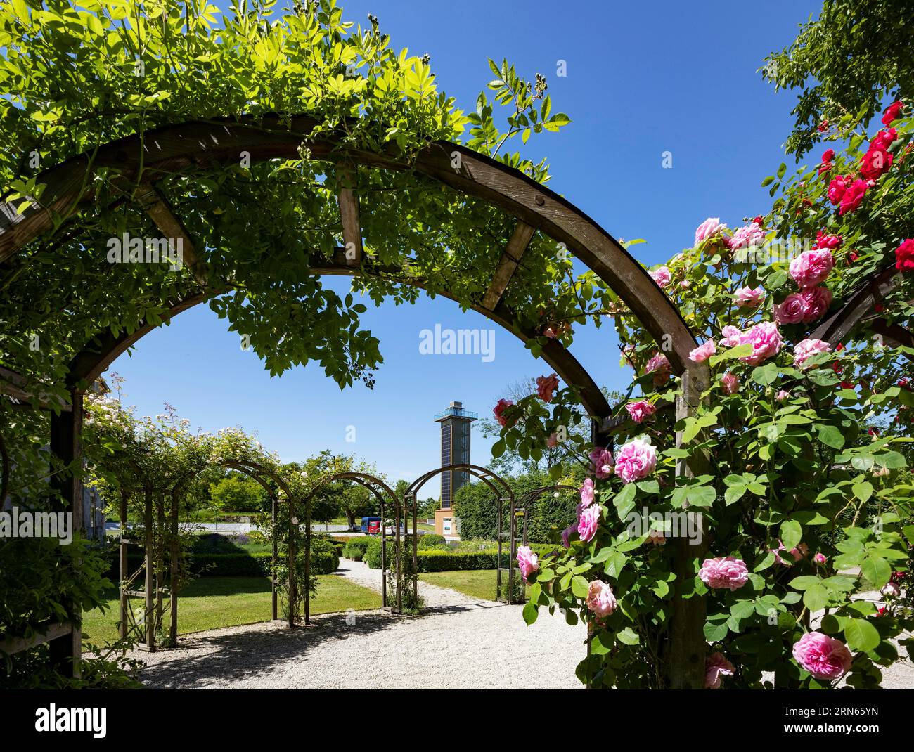 Rose garden in the Obernberg castle area with observation tower eINNblick, Obernberg am Inn, Innviertel, Upper Austria, Austria Stock Photo